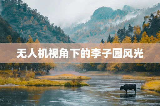 无人机视角下的李子园风光