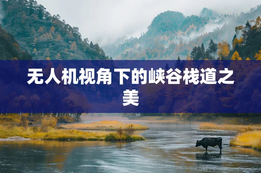 无人机视角下的峡谷栈道之美