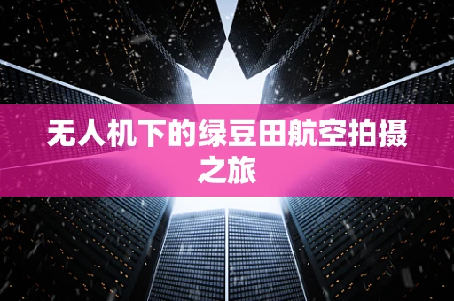 无人机下的绿豆田航空拍摄之旅