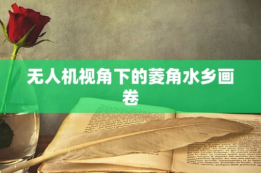 无人机视角下的菱角水乡画卷