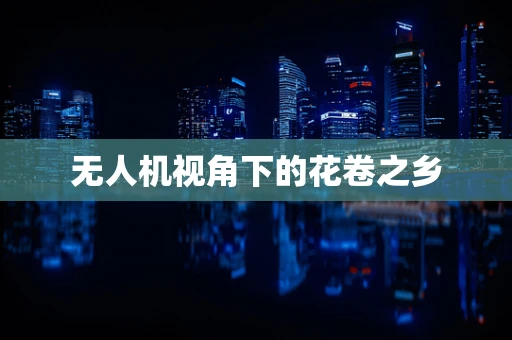 无人机视角下的花卷之乡