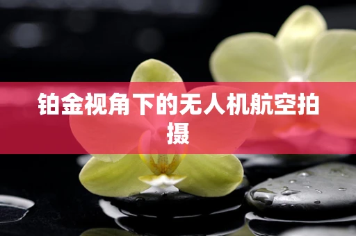 铂金视角下的无人机航空拍摄