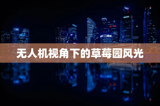 无人机视角下的草莓园风光