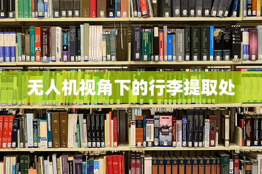 无人机视角下的行李提取处