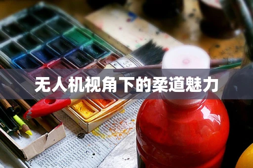 无人机视角下的柔道魅力
