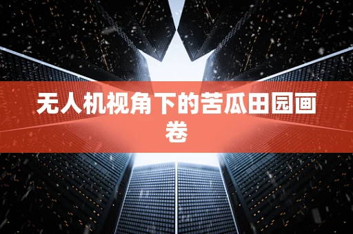 无人机视角下的苦瓜田园画卷
