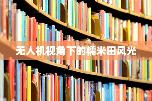 无人机视角下的糯米田风光