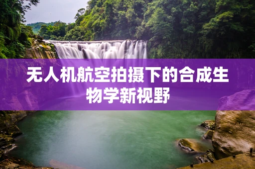 无人机航空拍摄下的合成生物学新视野