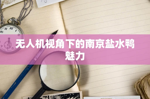 无人机视角下的南京盐水鸭魅力