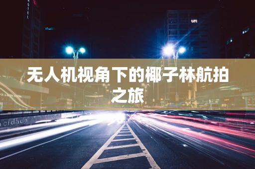 无人机视角下的椰子林航拍之旅