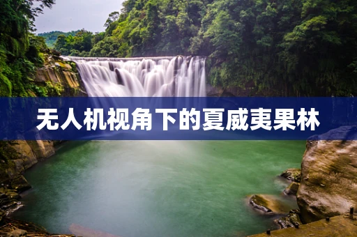 无人机视角下的夏威夷果林