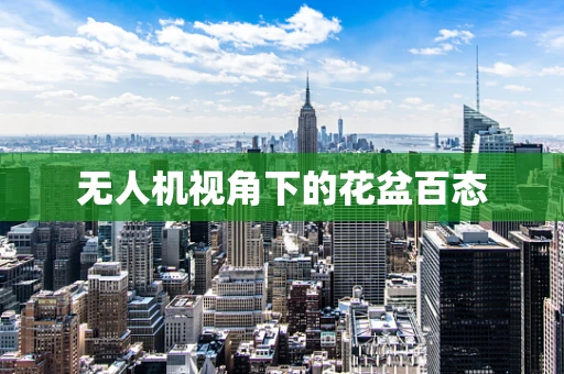 无人机视角下的花盆百态