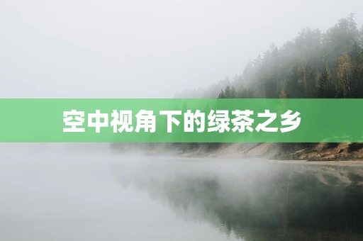 空中视角下的绿茶之乡