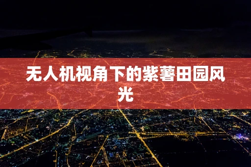 无人机视角下的紫薯田园风光