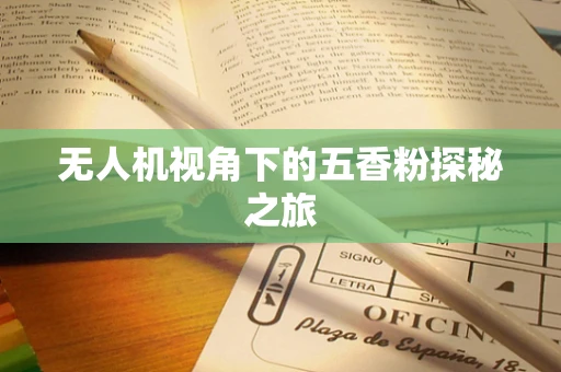 无人机视角下的五香粉探秘之旅