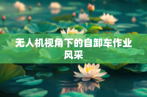 无人机视角下的自卸车作业风采