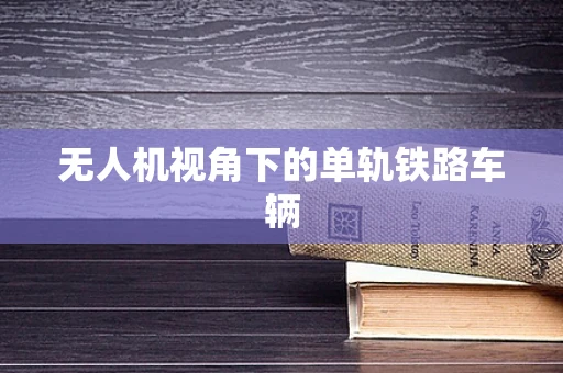 无人机视角下的单轨铁路车辆