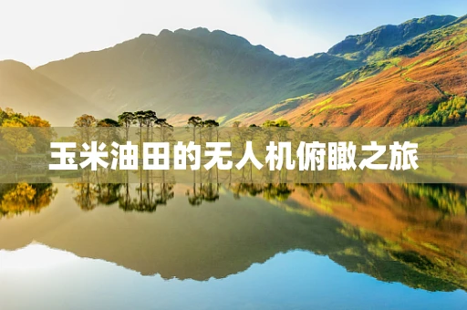 玉米油田的无人机俯瞰之旅