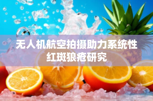 无人机航空拍摄助力系统性红斑狼疮研究