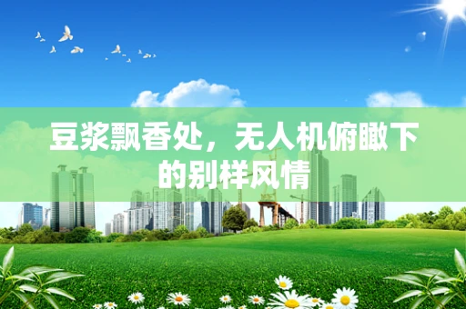 豆浆飘香处，无人机俯瞰下的别样风情