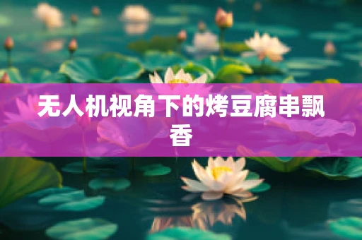 无人机视角下的烤豆腐串飘香
