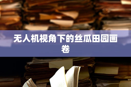 无人机视角下的丝瓜田园画卷