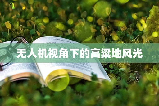 无人机视角下的高粱地风光