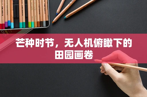 芒种时节，无人机俯瞰下的田园画卷