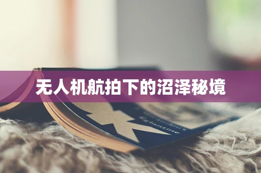 无人机航拍下的沼泽秘境