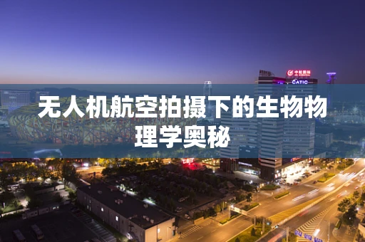 无人机航空拍摄下的生物物理学奥秘