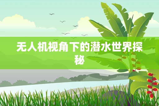 无人机视角下的潜水世界探秘