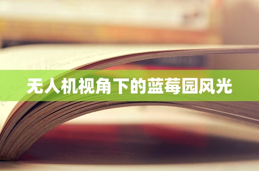 无人机视角下的蓝莓园风光