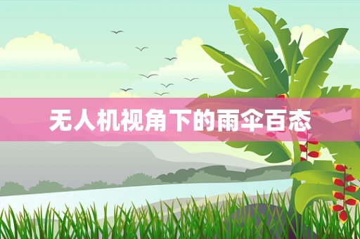 无人机视角下的雨伞百态