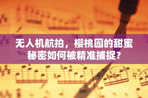 无人机航拍，樱桃园的甜蜜秘密如何被精准捕捉？