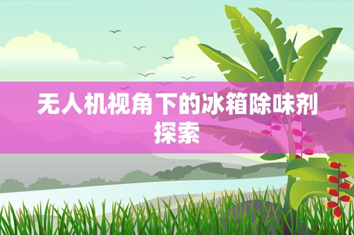 无人机视角下的冰箱除味剂探索