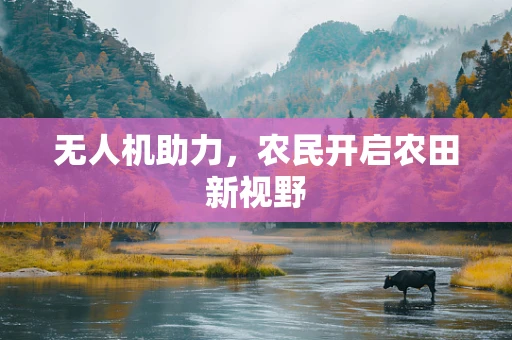 无人机助力，农民开启农田新视野