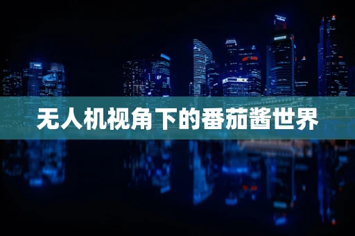无人机视角下的番茄酱世界