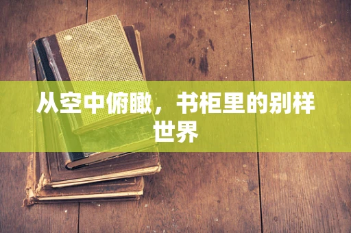 从空中俯瞰，书柜里的别样世界