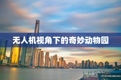 无人机视角下的奇妙动物园