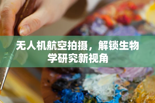 无人机航空拍摄，解锁生物学研究新视角