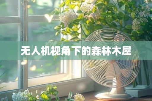 无人机视角下的森林木屋