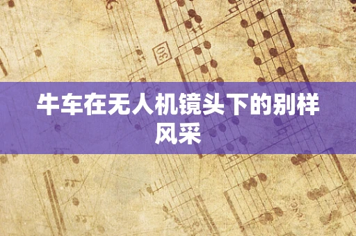 牛车在无人机镜头下的别样风采