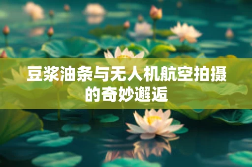 豆浆油条与无人机航空拍摄的奇妙邂逅