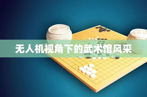 无人机视角下的武术馆风采