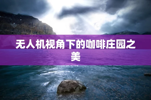 无人机视角下的咖啡庄园之美