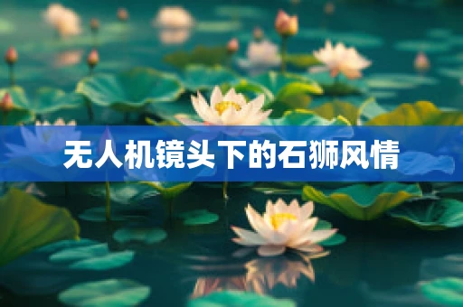 无人机镜头下的石狮风情