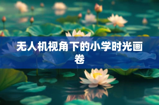 无人机视角下的小学时光画卷