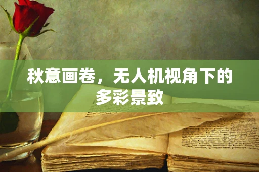 秋意画卷，无人机视角下的多彩景致