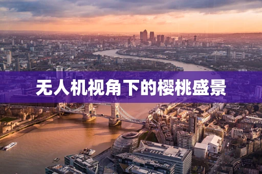 无人机视角下的樱桃盛景