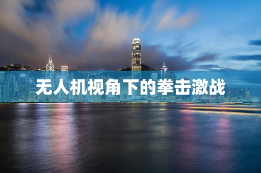 无人机视角下的拳击激战